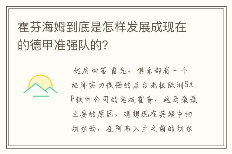 霍芬海姆到底是怎样发展成现在的德甲准强队的？