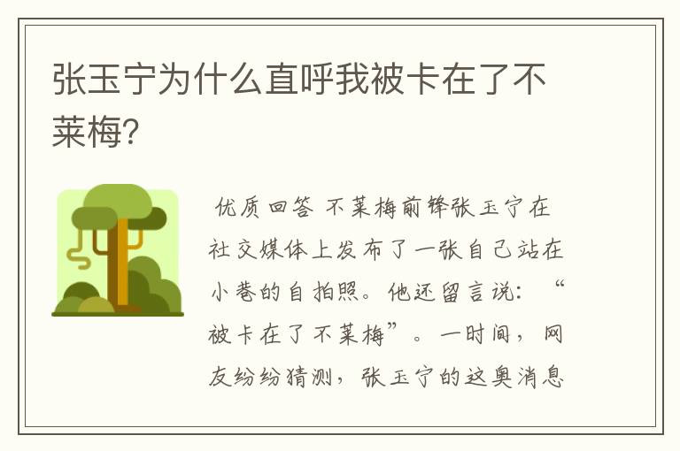 张玉宁为什么直呼我被卡在了不莱梅？