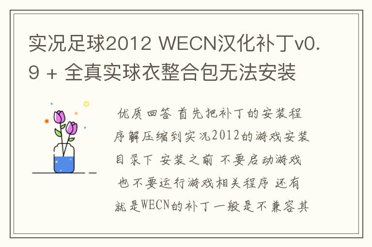 实况足球2012 WECN汉化补丁v0.9 + 全真实球衣整合包无法安装是怎么回事？