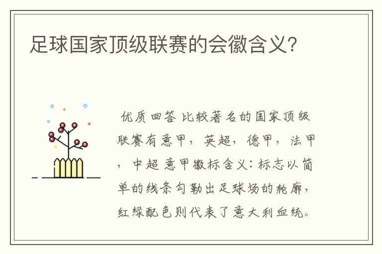 足球国家顶级联赛的会徽含义？