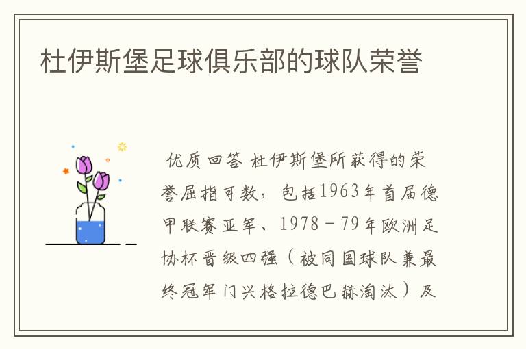 杜伊斯堡足球俱乐部的球队荣誉