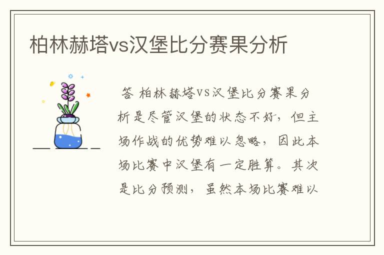 柏林赫塔vs汉堡比分赛果分析