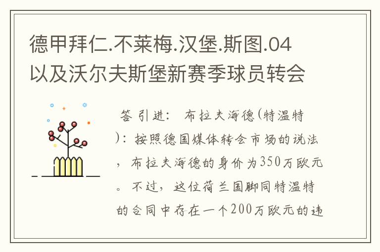 德甲拜仁.不莱梅.汉堡.斯图.04以及沃尔夫斯堡新赛季球员转会一览