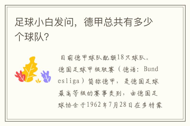 足球小白发问，德甲总共有多少个球队？