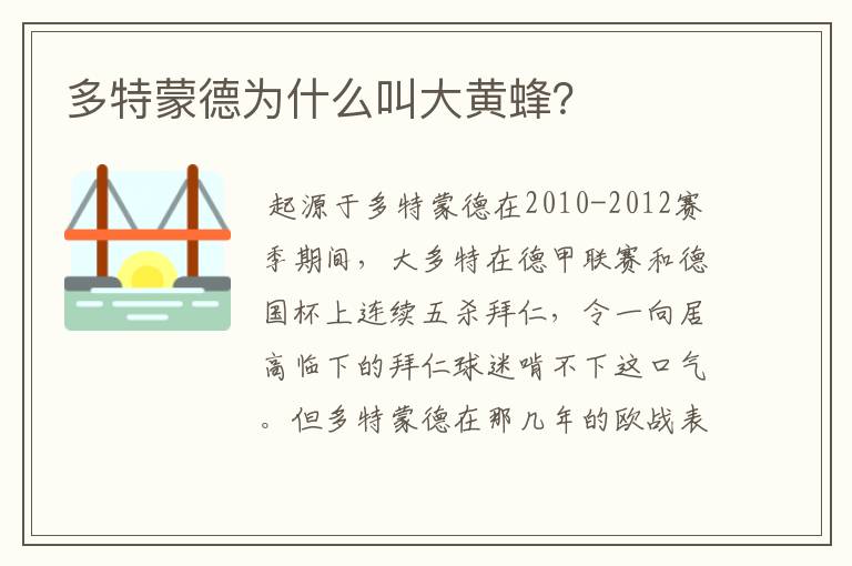 多特蒙德为什么叫大黄蜂？