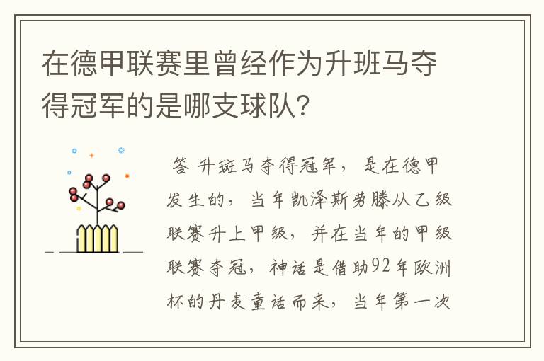 在德甲联赛里曾经作为升班马夺得冠军的是哪支球队？