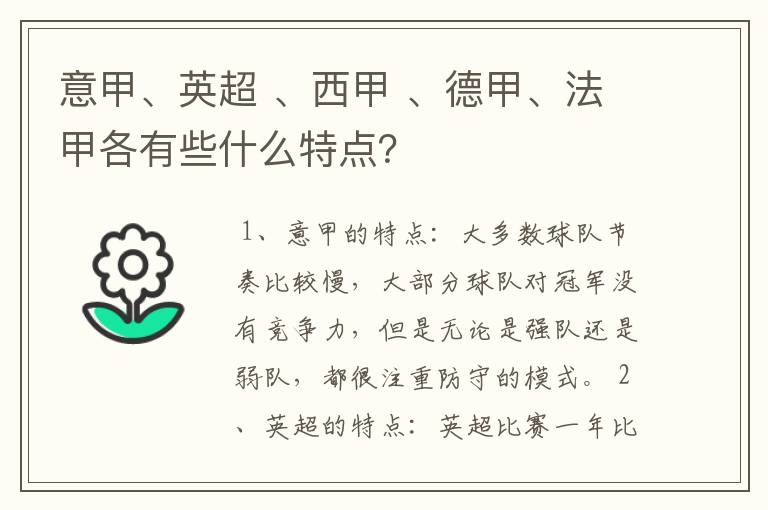 意甲、英超 、西甲 、德甲、法甲各有些什么特点？