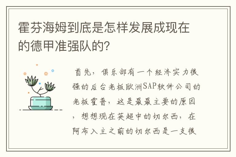 霍芬海姆到底是怎样发展成现在的德甲准强队的？