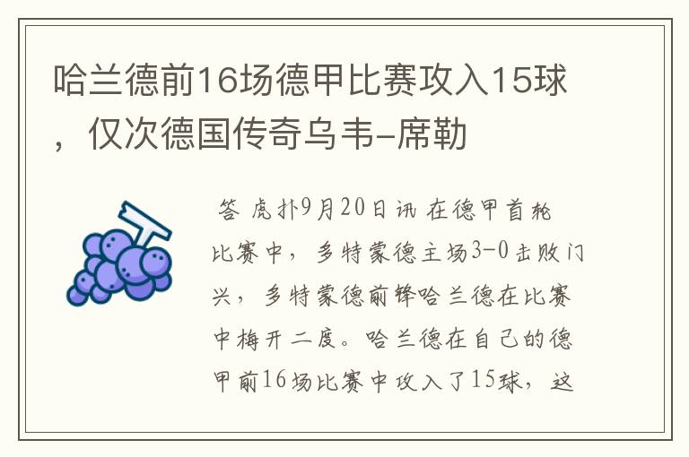 哈兰德前16场德甲比赛攻入15球，仅次德国传奇乌韦-席勒