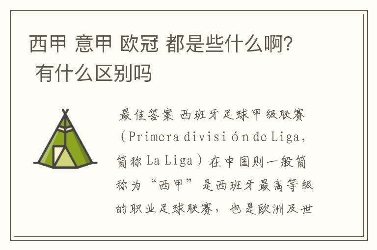 西甲 意甲 欧冠 都是些什么啊？ 有什么区别吗