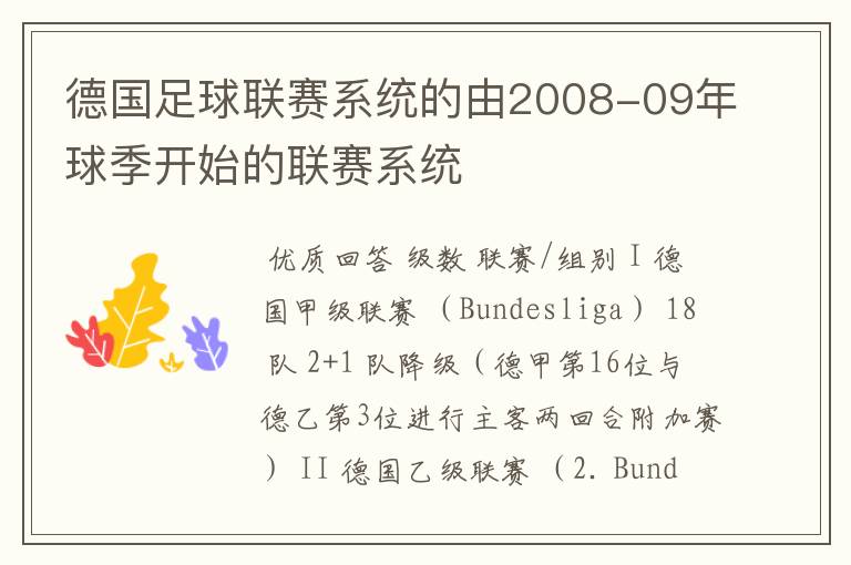 德国足球联赛系统的由2008-09年球季开始的联赛系统