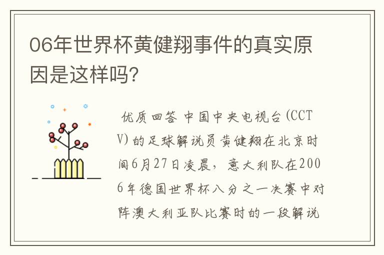 06年世界杯黄健翔事件的真实原因是这样吗？