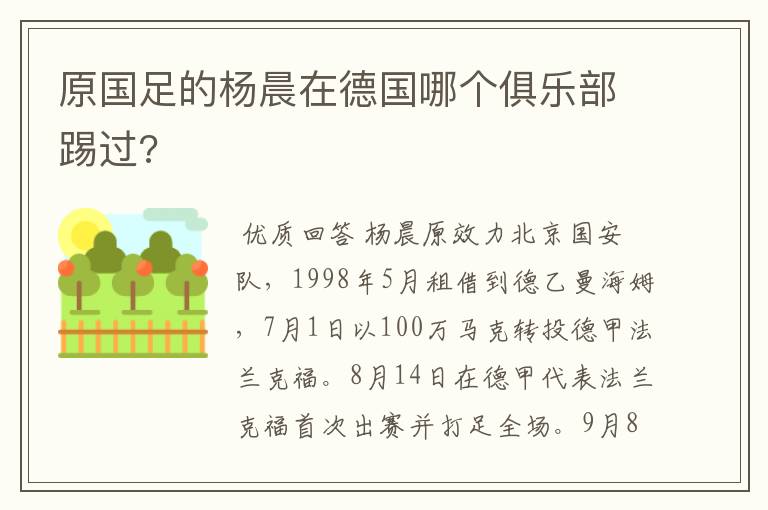 原国足的杨晨在德国哪个俱乐部踢过?