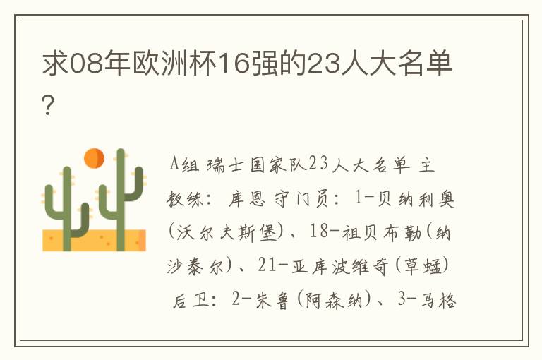 求08年欧洲杯16强的23人大名单？