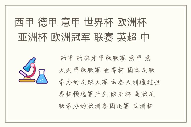 西甲 德甲 意甲 世界杯 欧洲杯 亚洲杯 欧洲冠军 联赛 英超 中超  分别是什么意思啊？