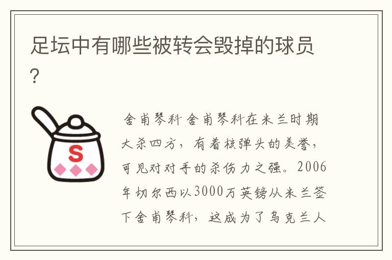 足坛中有哪些被转会毁掉的球员？