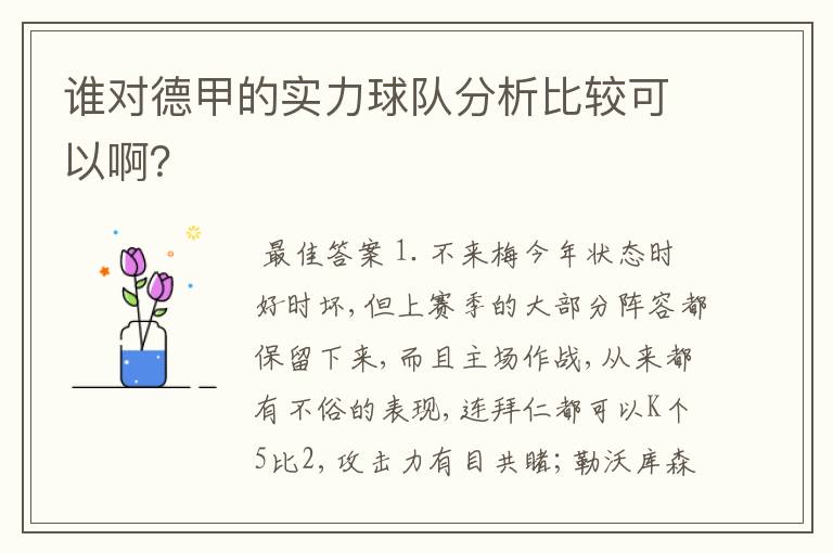 谁对德甲的实力球队分析比较可以啊？