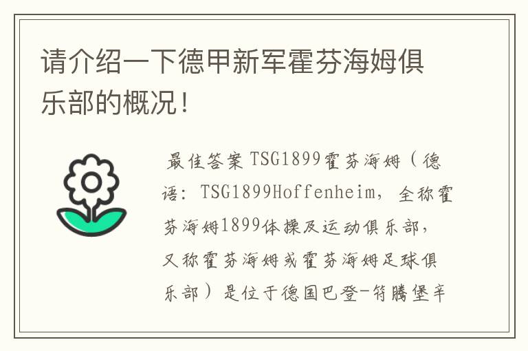 请介绍一下德甲新军霍芬海姆俱乐部的概况！