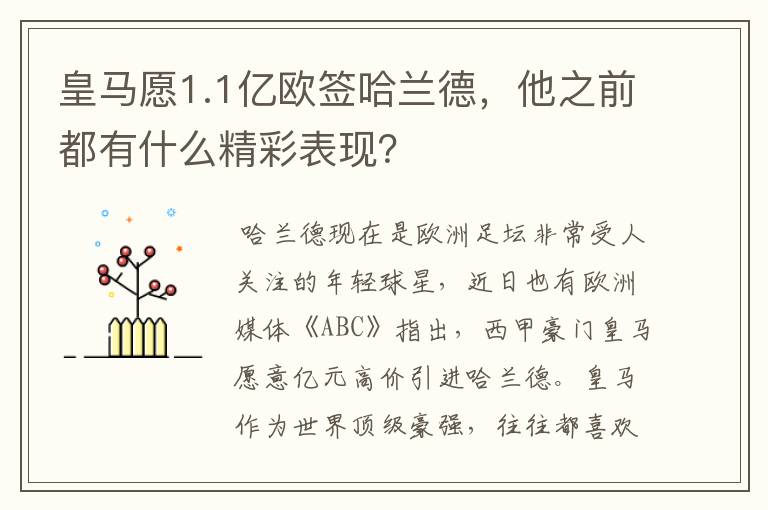 皇马愿1.1亿欧签哈兰德，他之前都有什么精彩表现？