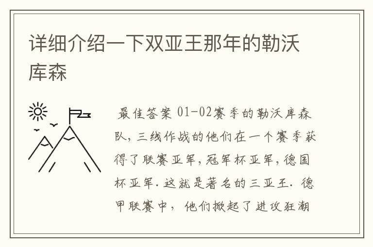 详细介绍一下双亚王那年的勒沃库森