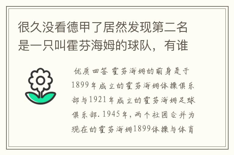 很久没看德甲了居然发现第二名是一只叫霍芬海姆的球队，有谁知道吗