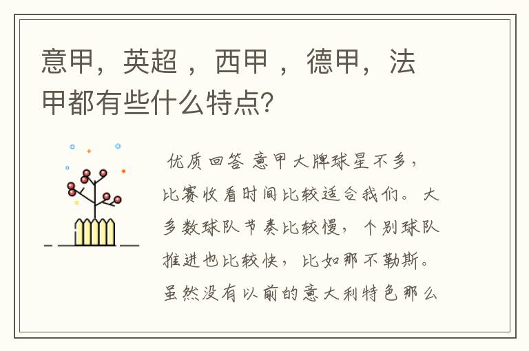 意甲，英超 ，西甲 ，德甲，法甲都有些什么特点？