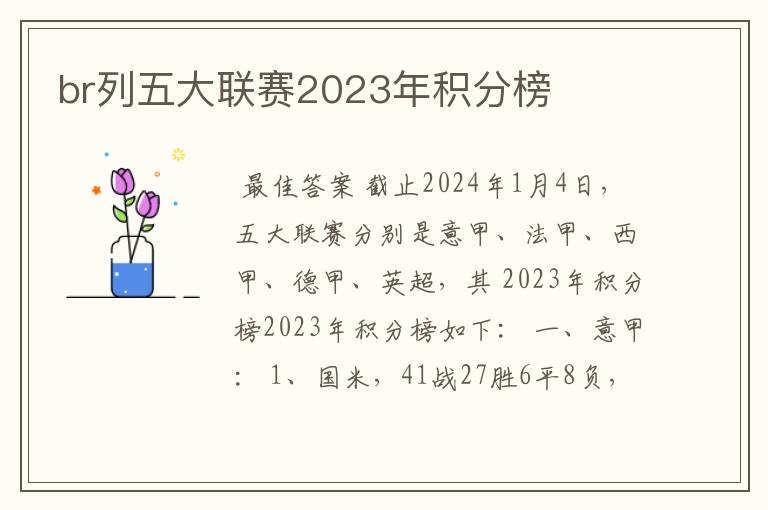 br列五大联赛2023年积分榜