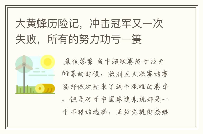 大黄蜂历险记，冲击冠军又一次失败，所有的努力功亏一篑