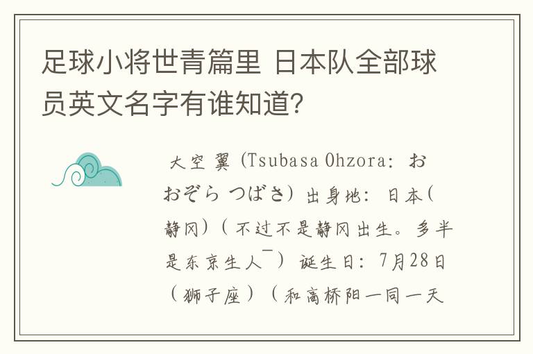 足球小将世青篇里 日本队全部球员英文名字有谁知道？