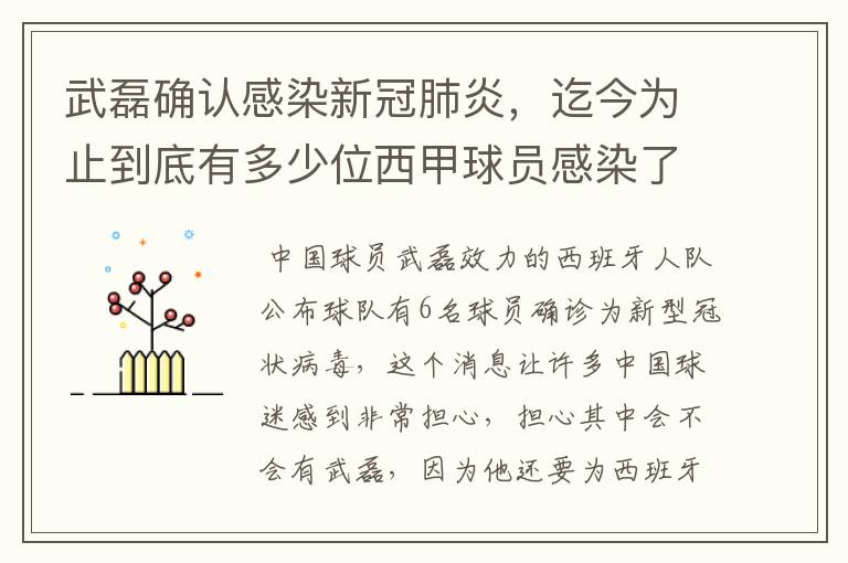 武磊确认感染新冠肺炎，迄今为止到底有多少位西甲球员感染了新冠病毒？