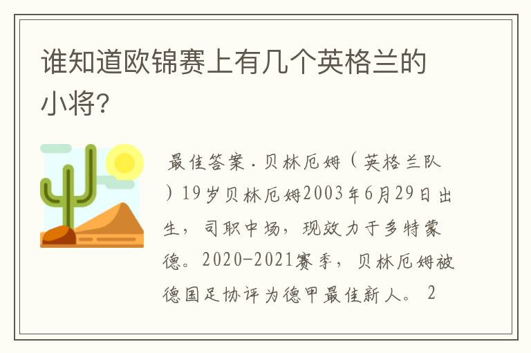 谁知道欧锦赛上有几个英格兰的小将?