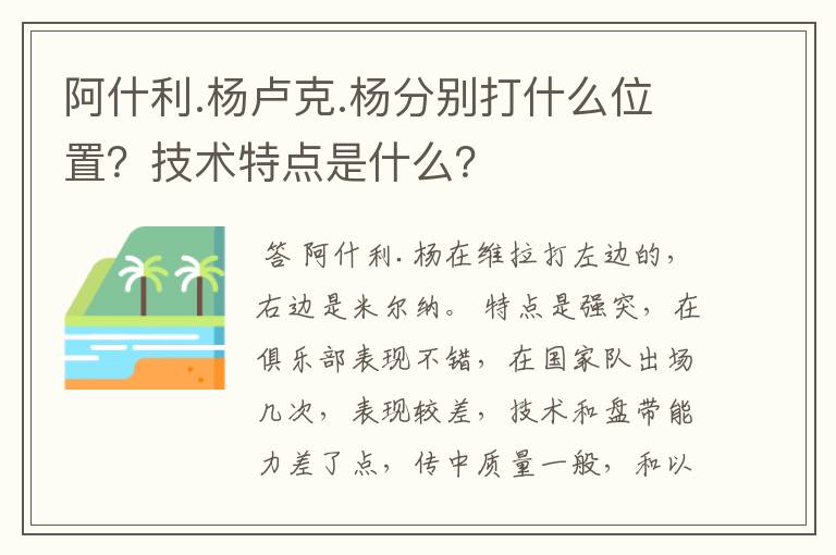 阿什利.杨卢克.杨分别打什么位置？技术特点是什么？