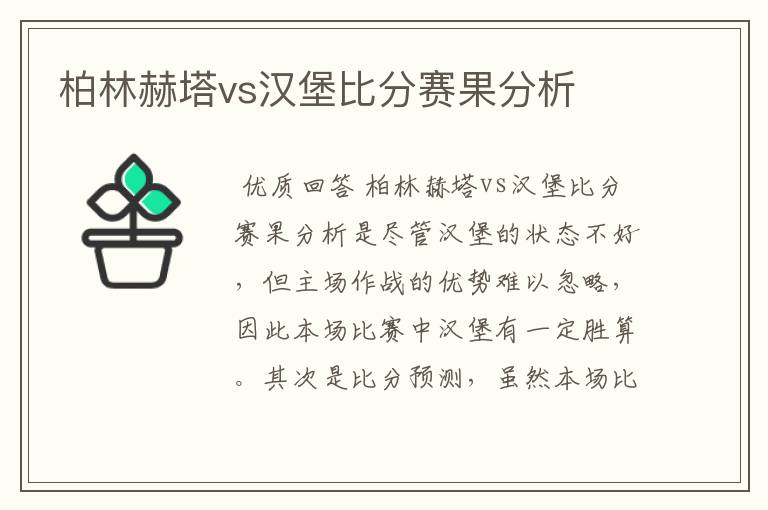 柏林赫塔vs汉堡比分赛果分析