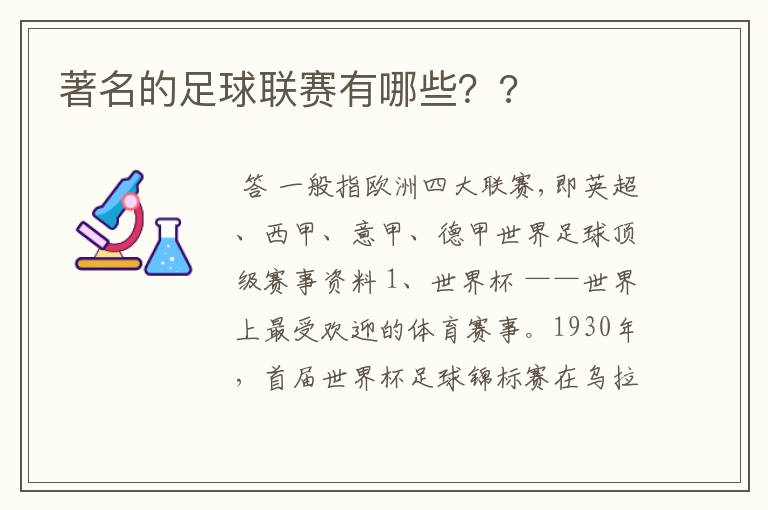 著名的足球联赛有哪些？?