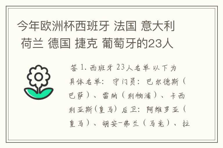 今年欧洲杯西班牙 法国 意大利 荷兰 德国 捷克 葡萄牙的23人名单