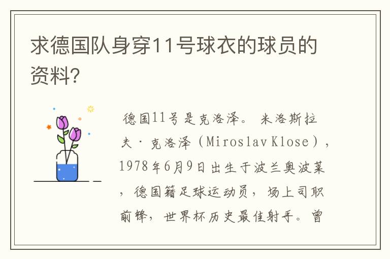 求德国队身穿11号球衣的球员的资料？