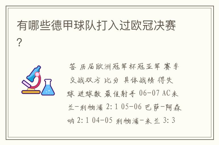 有哪些德甲球队打入过欧冠决赛？