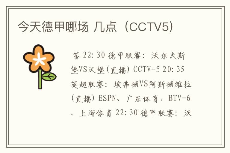 今天德甲哪场 几点（CCTV5)