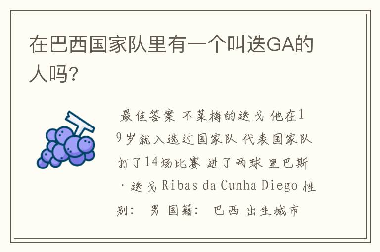 在巴西国家队里有一个叫迭GA的人吗?