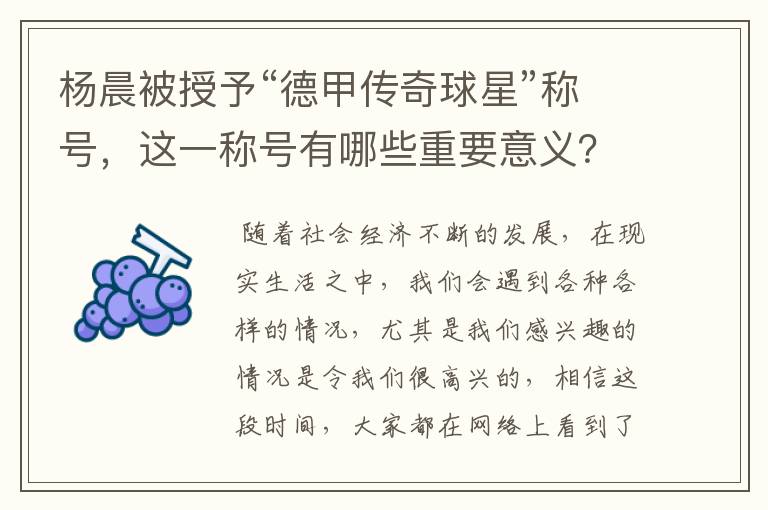 杨晨被授予“德甲传奇球星”称号，这一称号有哪些重要意义？