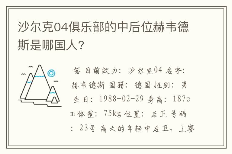 沙尔克04俱乐部的中后位赫韦德斯是哪国人?