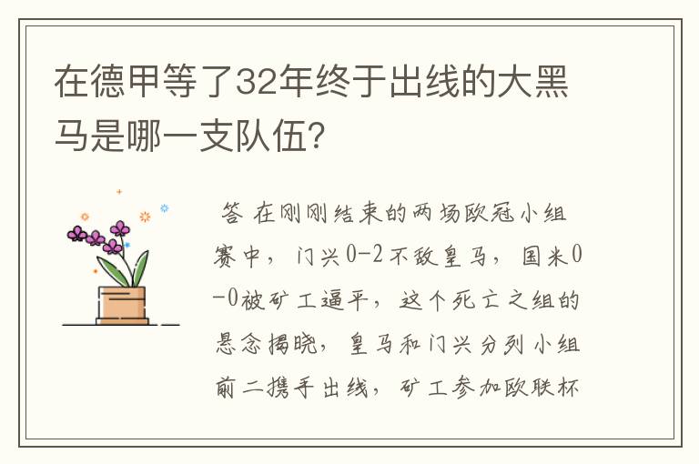 在德甲等了32年终于出线的大黑马是哪一支队伍？