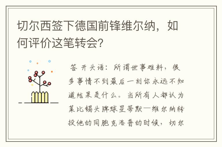 切尔西签下德国前锋维尔纳，如何评价这笔转会？