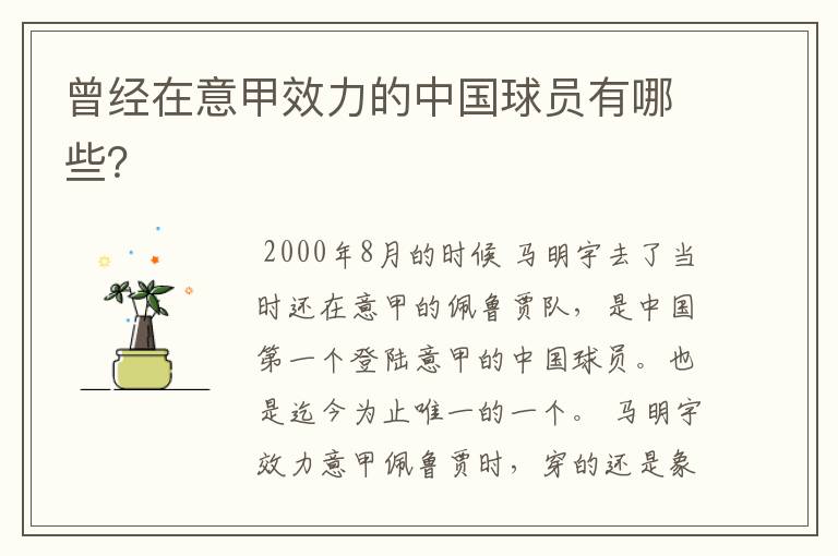 曾经在意甲效力的中国球员有哪些？