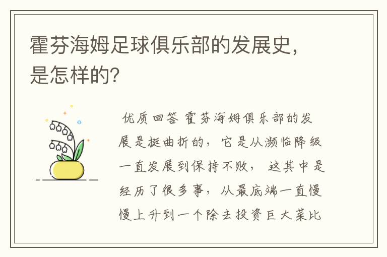 霍芬海姆足球俱乐部的发展史，是怎样的？