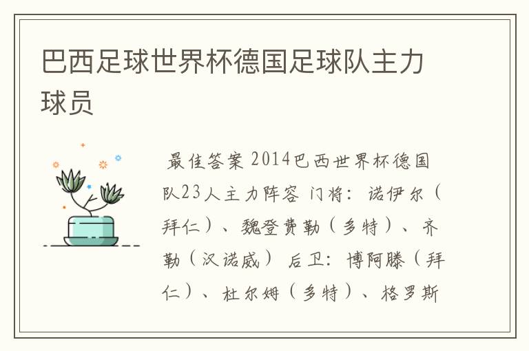 巴西足球世界杯德国足球队主力球员