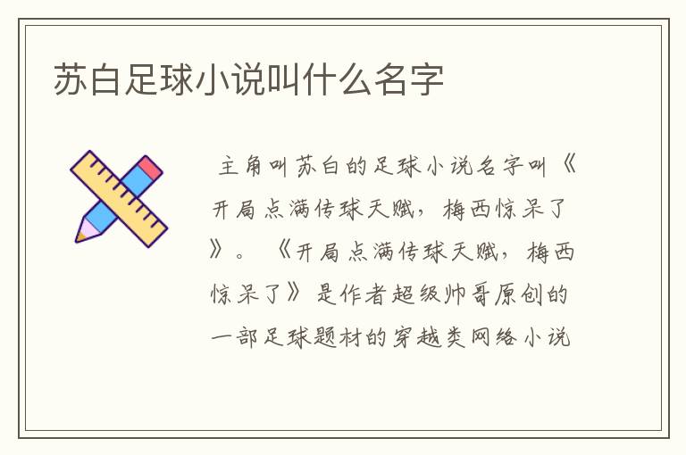 苏白足球小说叫什么名字