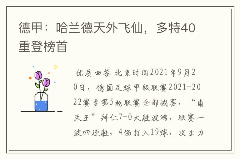 德甲：哈兰德天外飞仙，多特40重登榜首