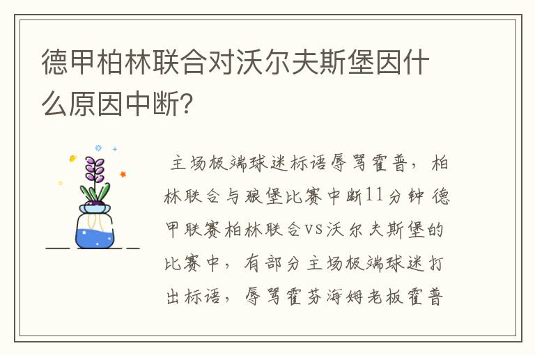 德甲柏林联合对沃尔夫斯堡因什么原因中断？