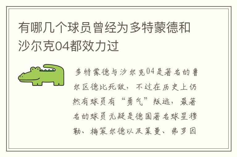 有哪几个球员曾经为多特蒙德和沙尔克04都效力过